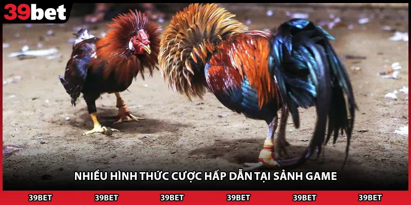 Nhiều hình thức cược hấp dẫn tại sảnh game